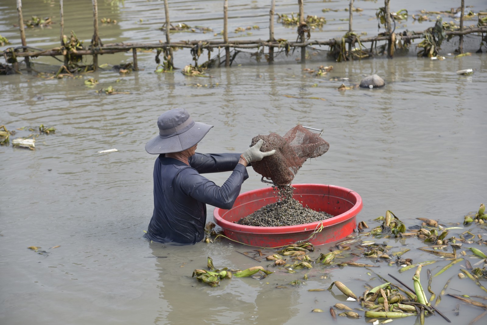 Người phụ nữ làm giàu từ biển