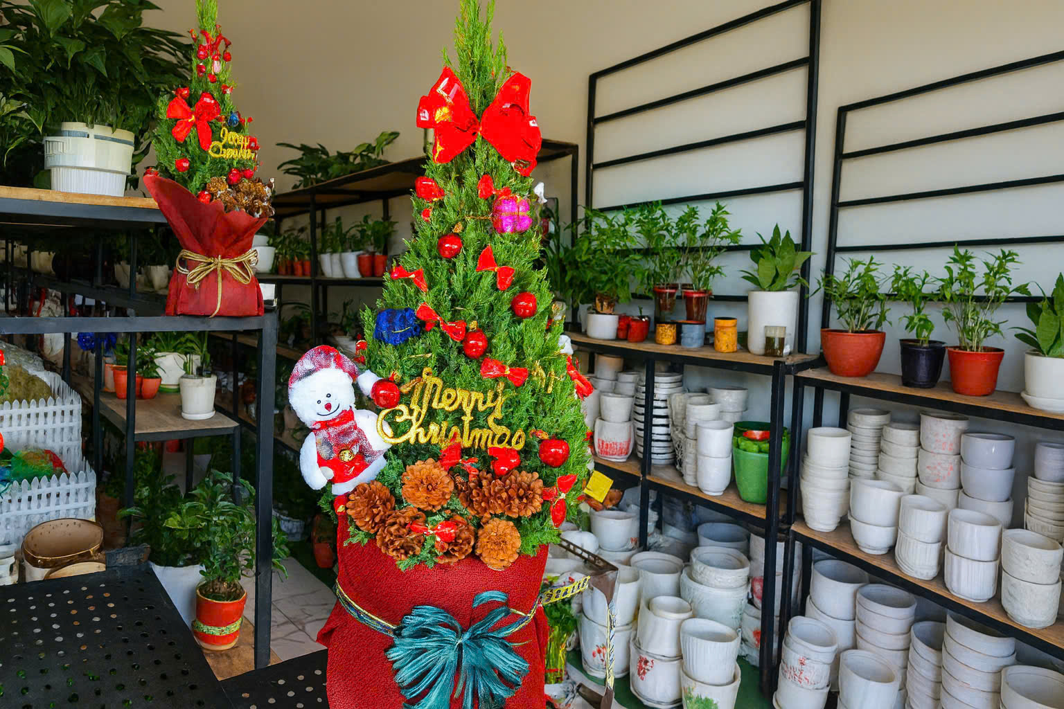 Rộn ràng thị trường Giáng sinh 2025