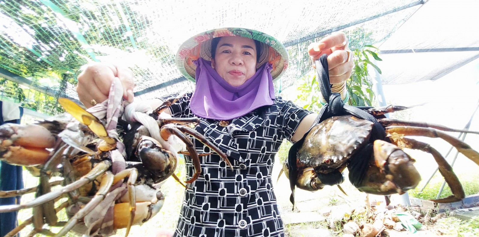 Người phụ nữ làm giàu từ biển