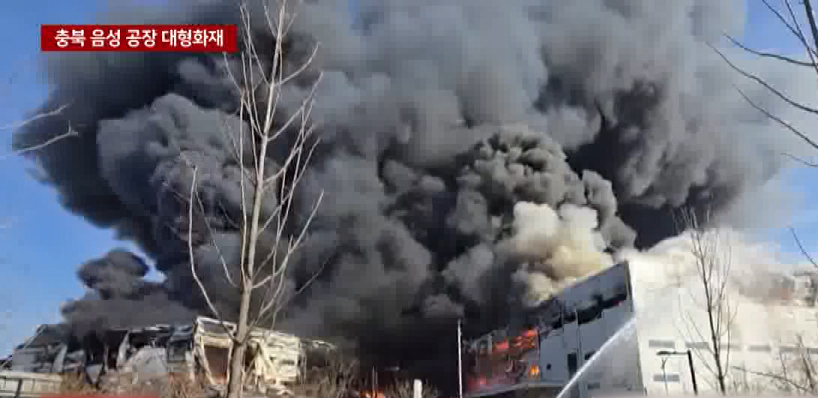 Hỏa hoạn nhà máy lan sang cháy rừng