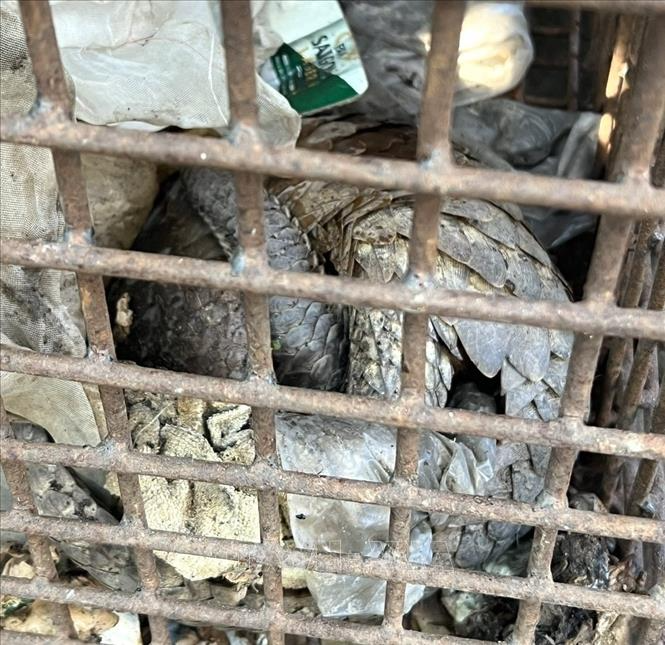 Tin tức nổi bật trong nước ngày 13/4