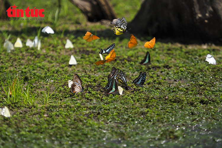 Tin tức nổi bật trong nước ngày 13/4