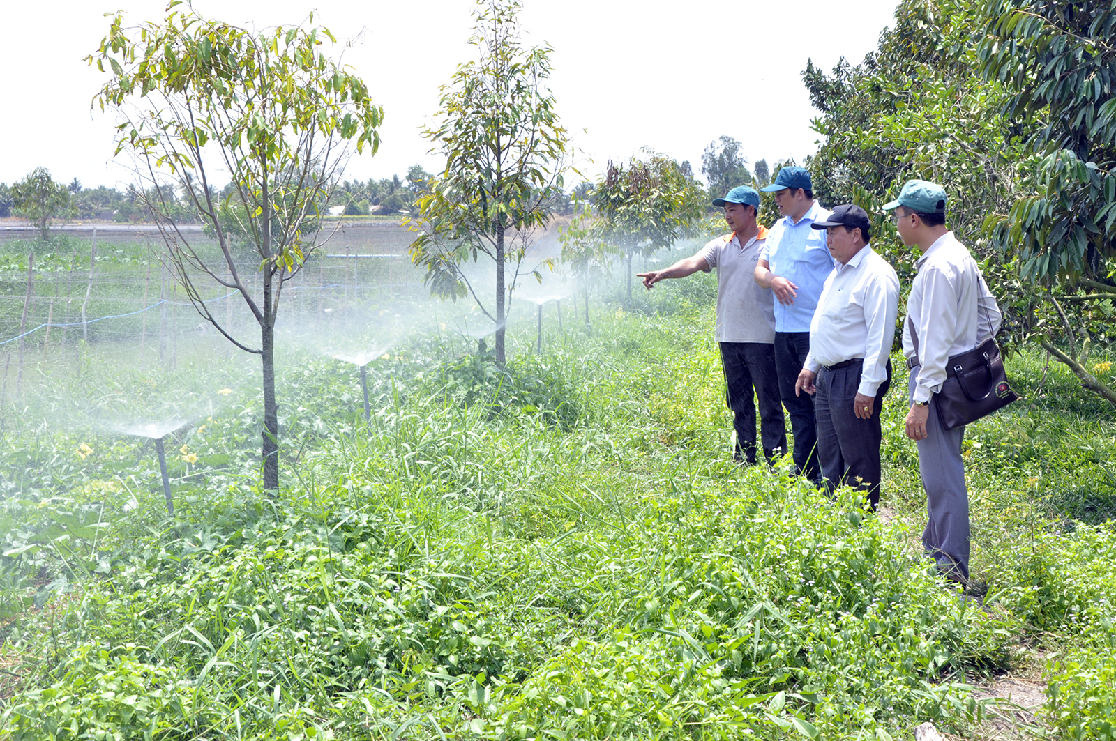 Hiện đại hóa tưới tiêu