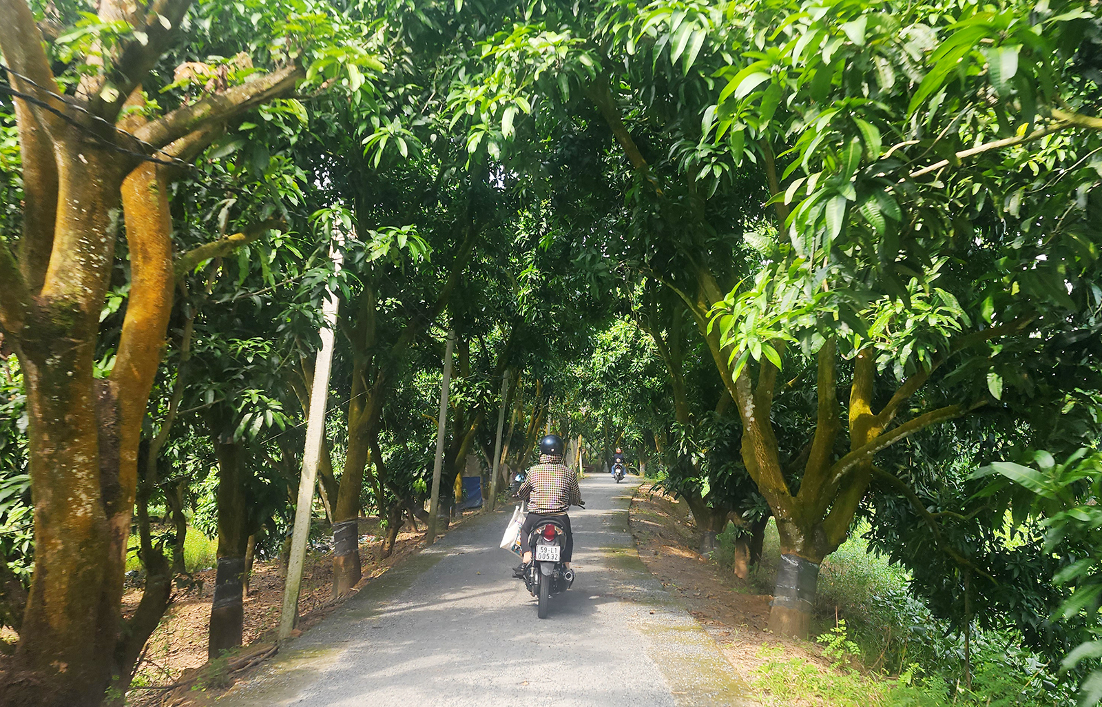 Sức sống trên ruộng, vườn chuyển đổi