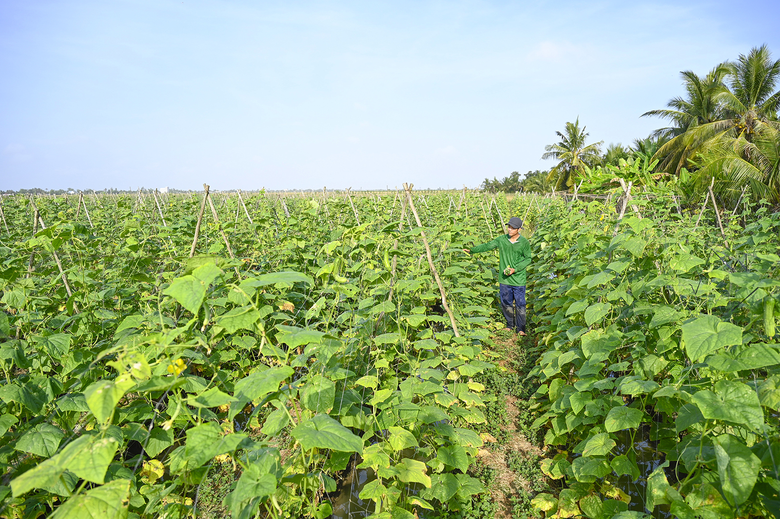 Giữ nhịp tăng trưởng từ cơ sở