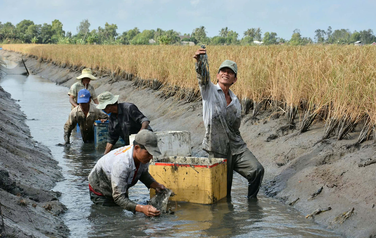 Giữ nhịp tăng trưởng từ cơ sở