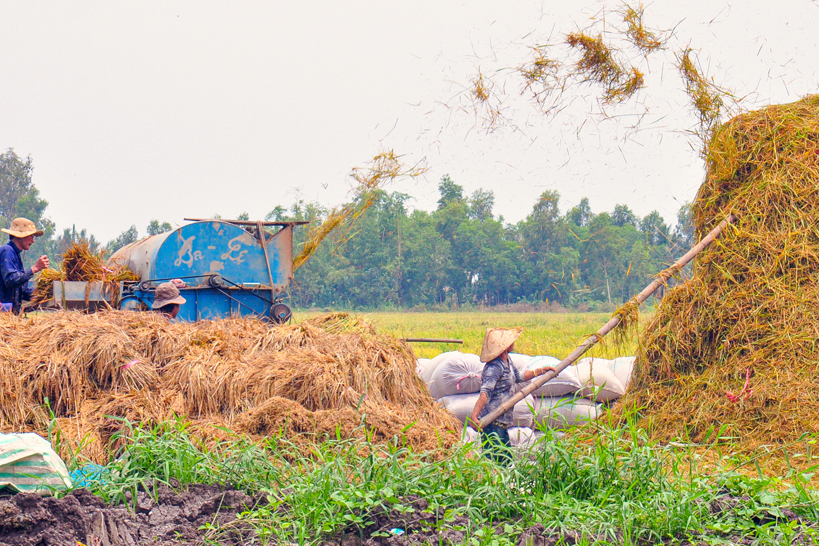 Chiều về Miệt Thứ