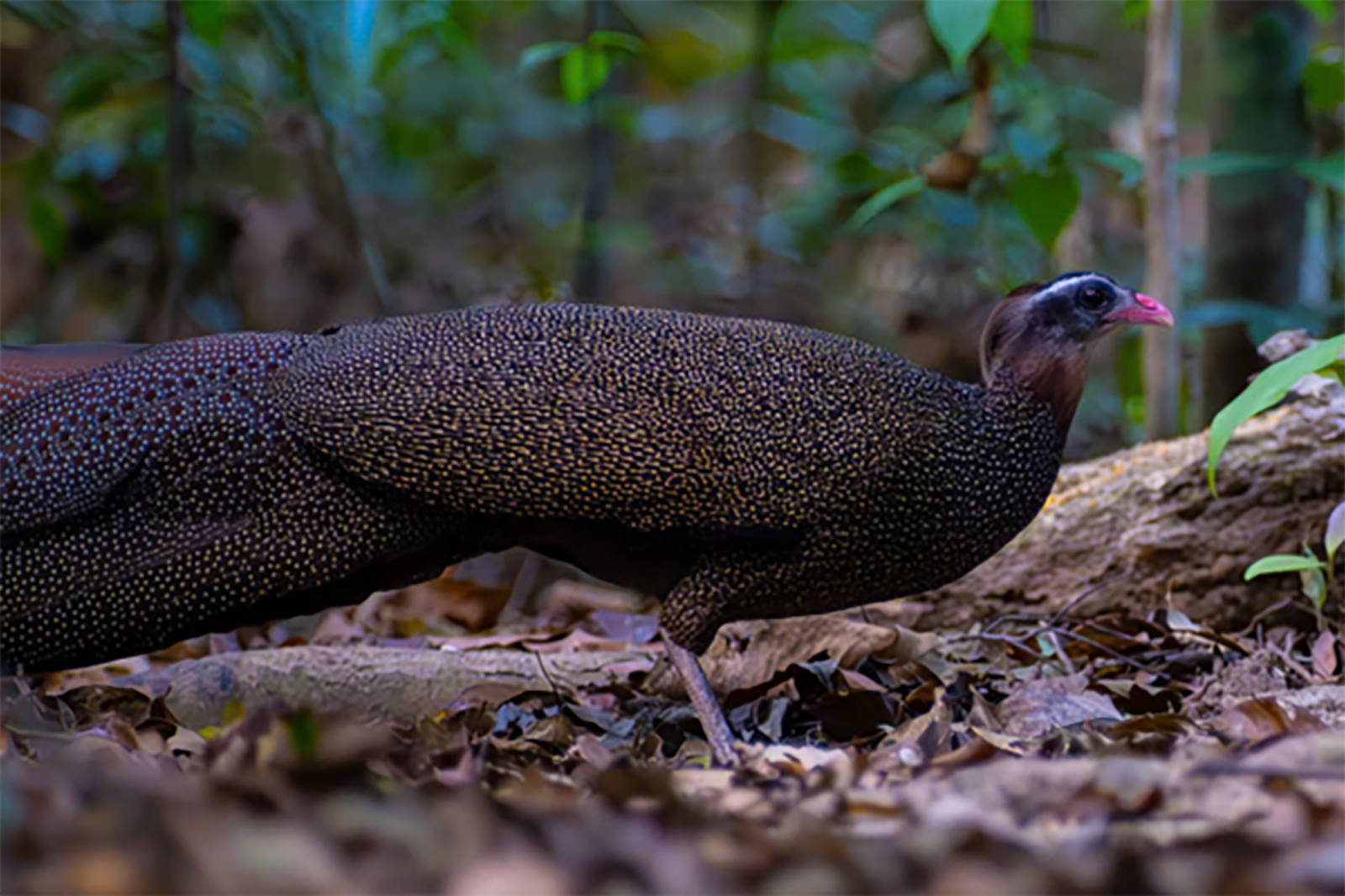 Tin tức nổi bật trong nước ngày 16/4