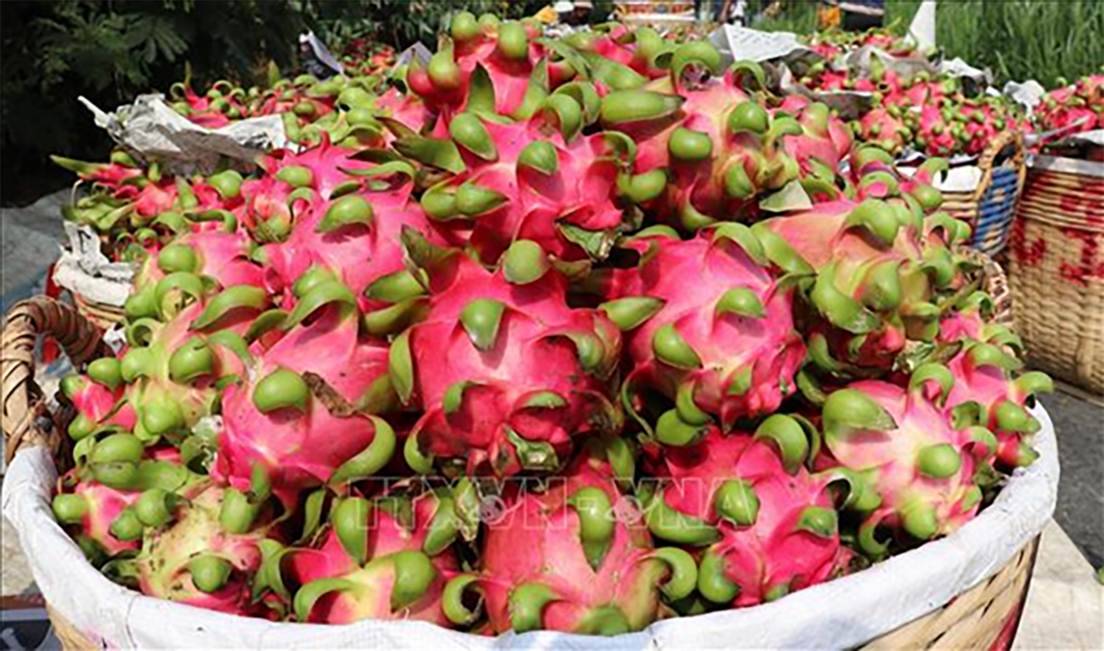 Tin tức nổi bật trong nước ngày 16/4