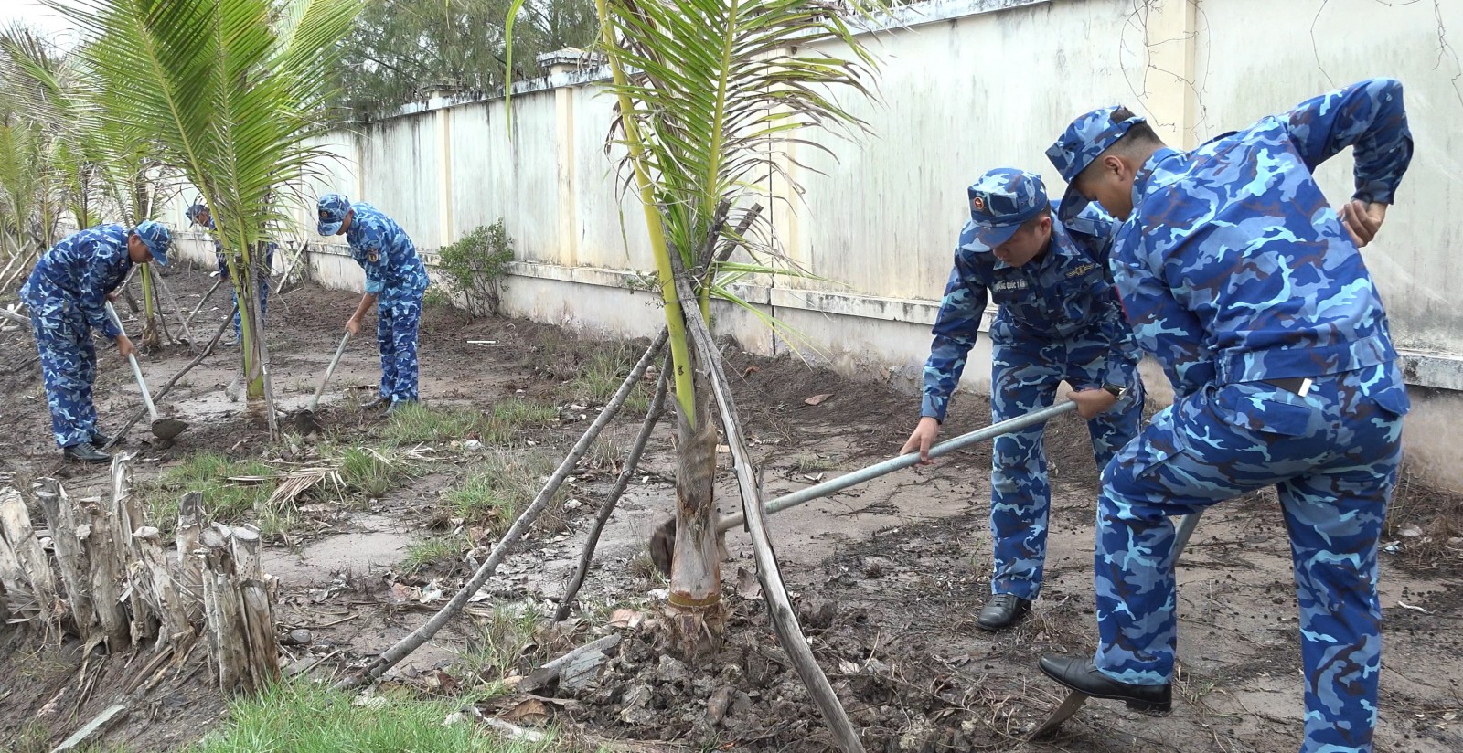 Hải đoàn 42 phát động trồng cây kỷ niệm 136 năm ngày sinh Chủ tịch Hồ Chí Minh