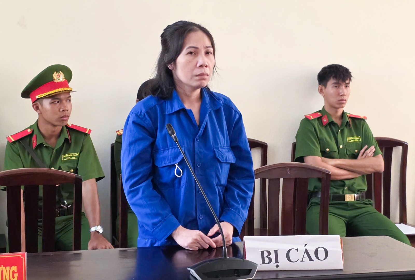 Lừa góp vốn kinh doanh đường, nữ bị cáo lãnh 13 năm tù