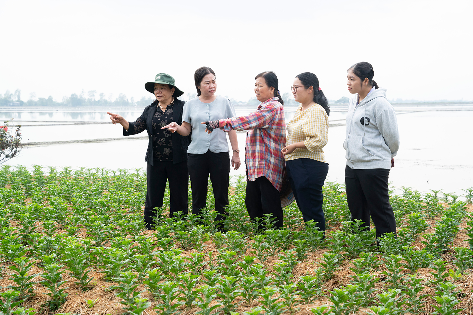 Những mùa trái ngọt ở Vĩnh Hanh