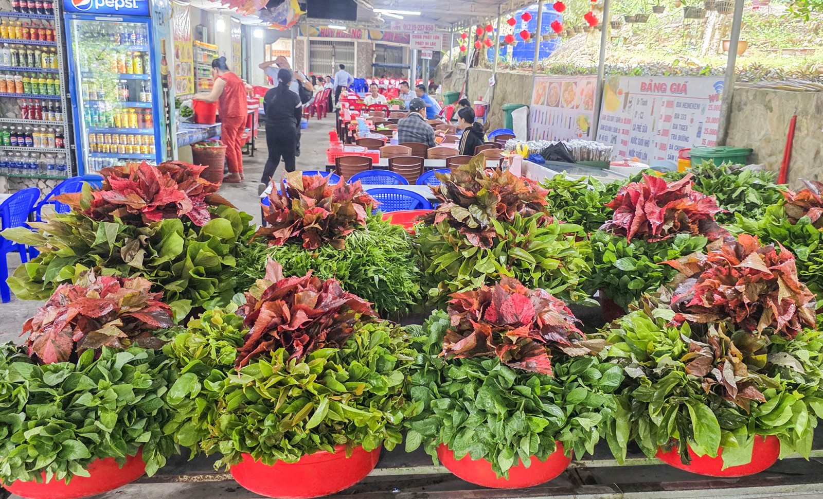 Mùa “lộc trời” mang sinh kế cho người dân Thất Sơn
