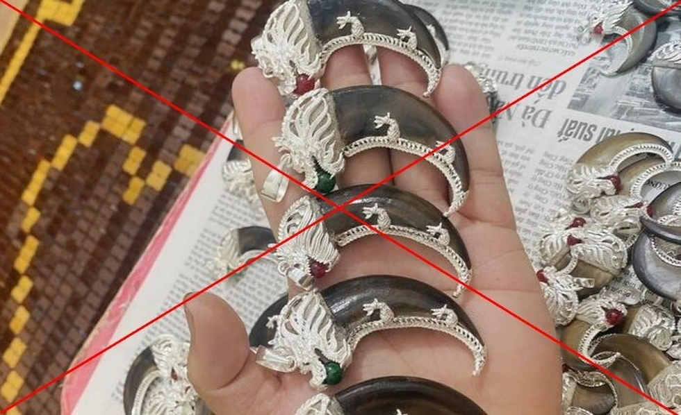Bạn có biết: Tất cả loài gấu tại Việt Nam đều đối mặt nguy cơ tuyệt chủng