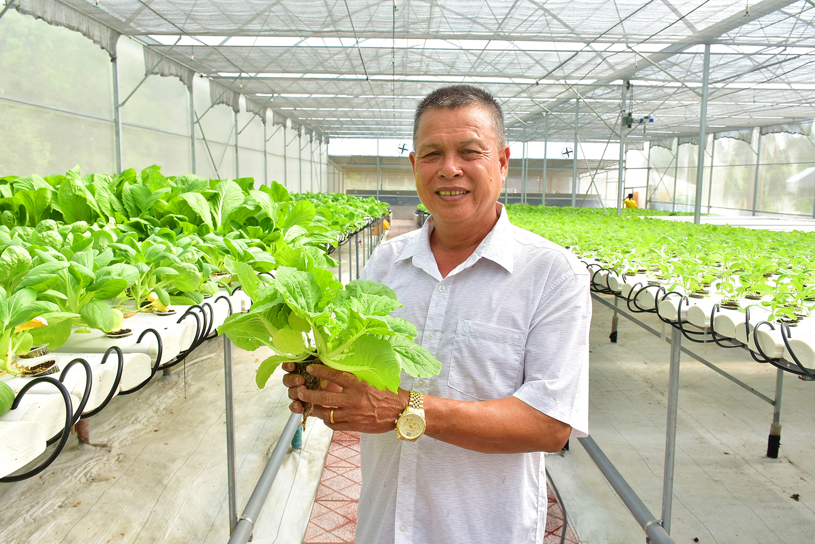Đổi mới tư duy để làm giàu từ nông nghiệp