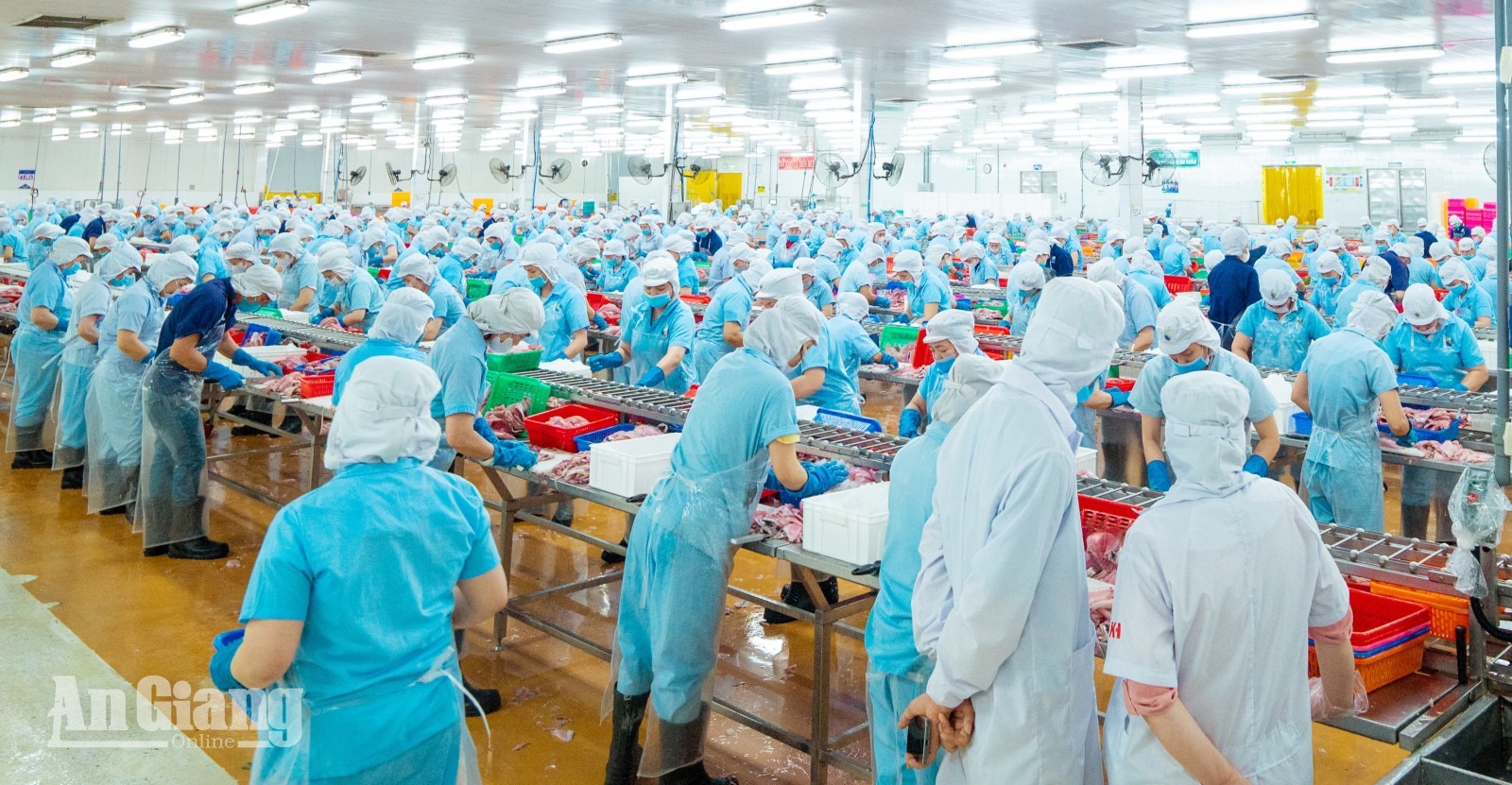 Khu công nghiệp bước vào chu kỳ phát triển mới