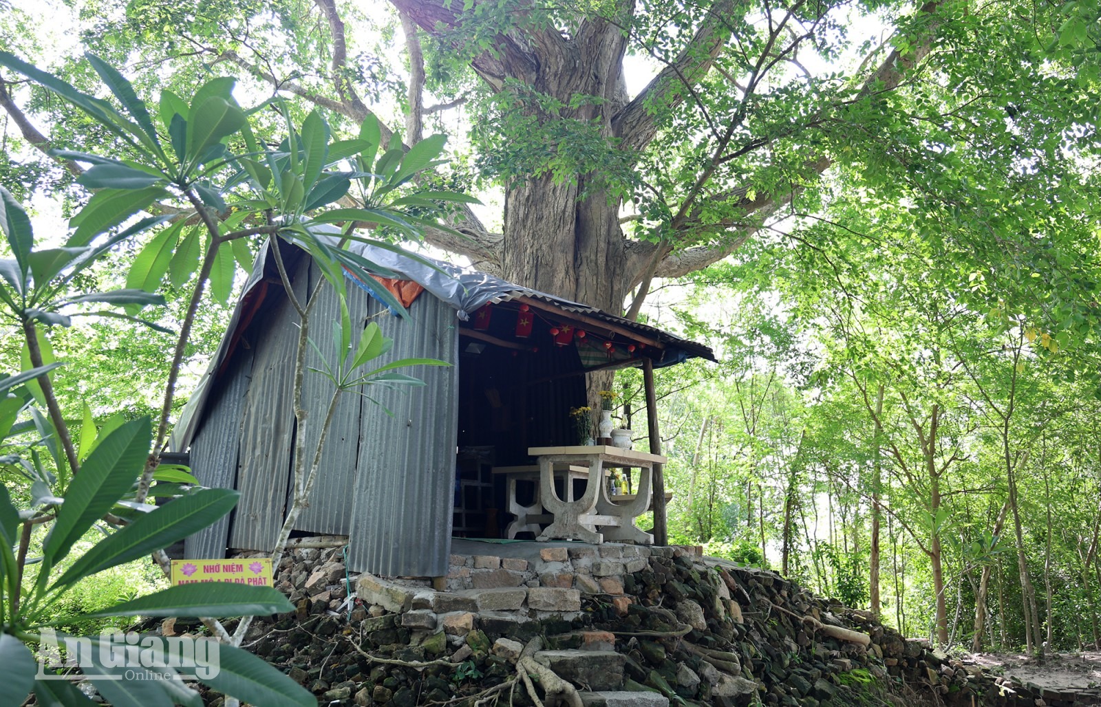 Thâm trầm di tích Gò Cây Tung