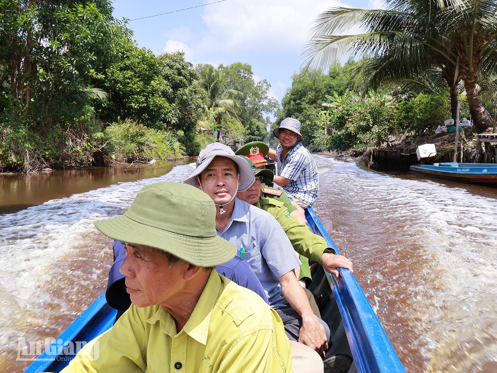 Canh rừng mùa nắng
