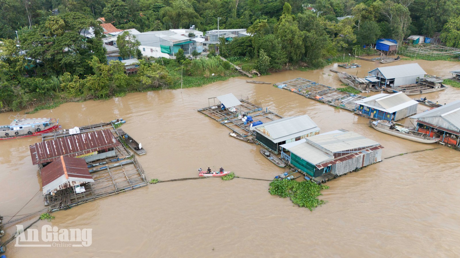Kinh tế xã không dừng lại ở việc trồng trọt, vườn sinh thái… người dân lại còn biết khai thác những khu vực sông ven cù lao để đánh bắt và nuôi thủy sản các loại