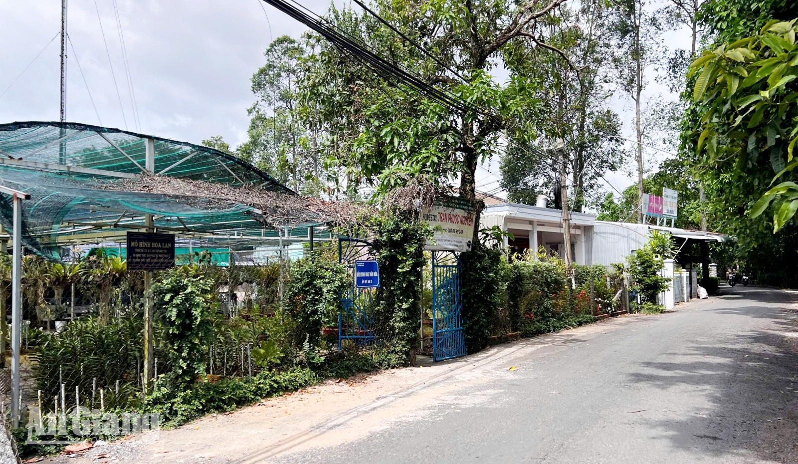 Không chỉ biết làm nông nghiệp mà người dân nơi đây còn tận dụng đất nhà phát triển Homestay phục vụ các du khách đến tham quan, nghỉ chân trên xã.