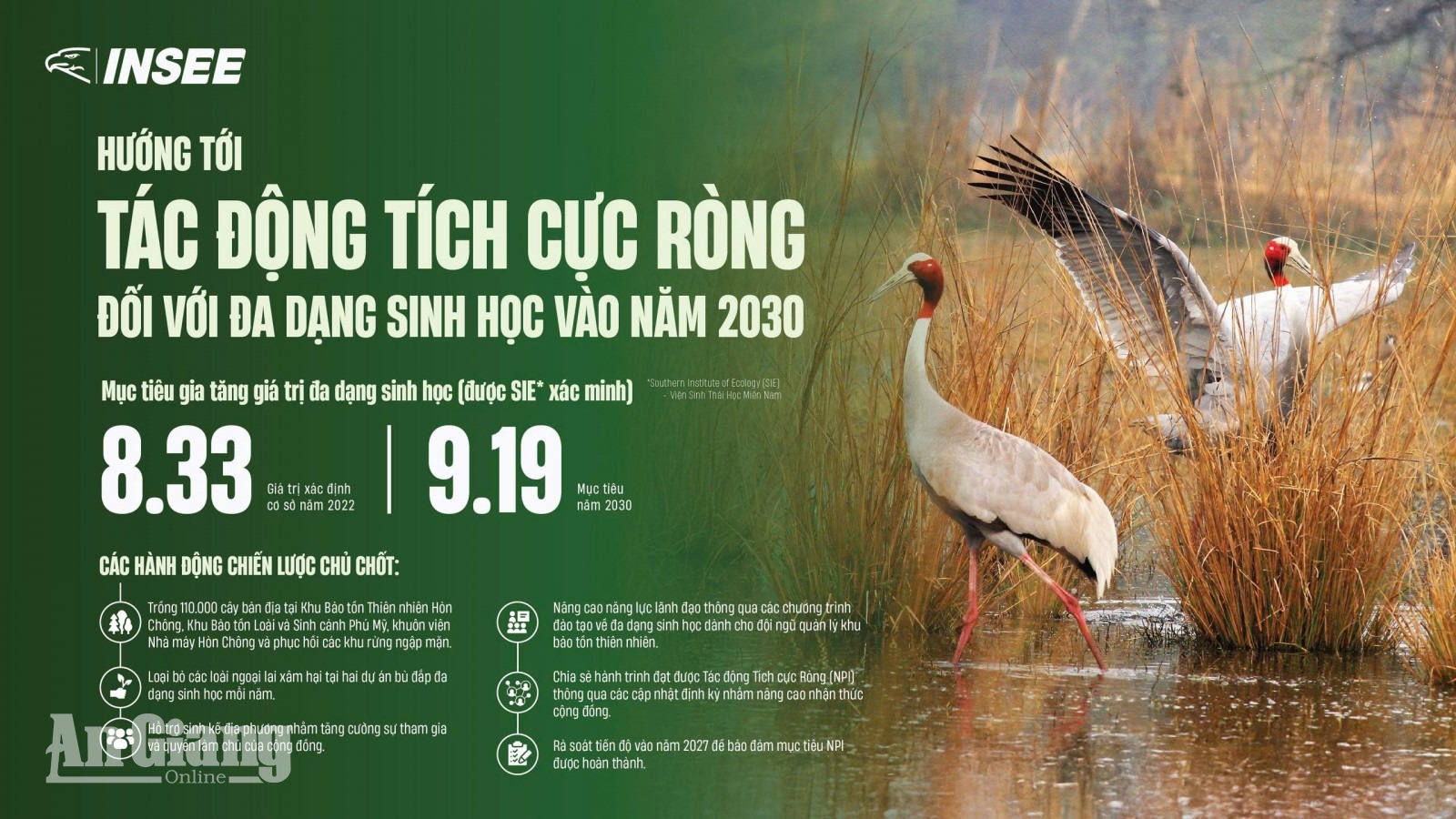 INSEE chung tay bảo tồn đa dạng sinh học, lan tỏa giá trị bền vững tại khu bảo tồn loài và sinh cảnh Phú Mỹ