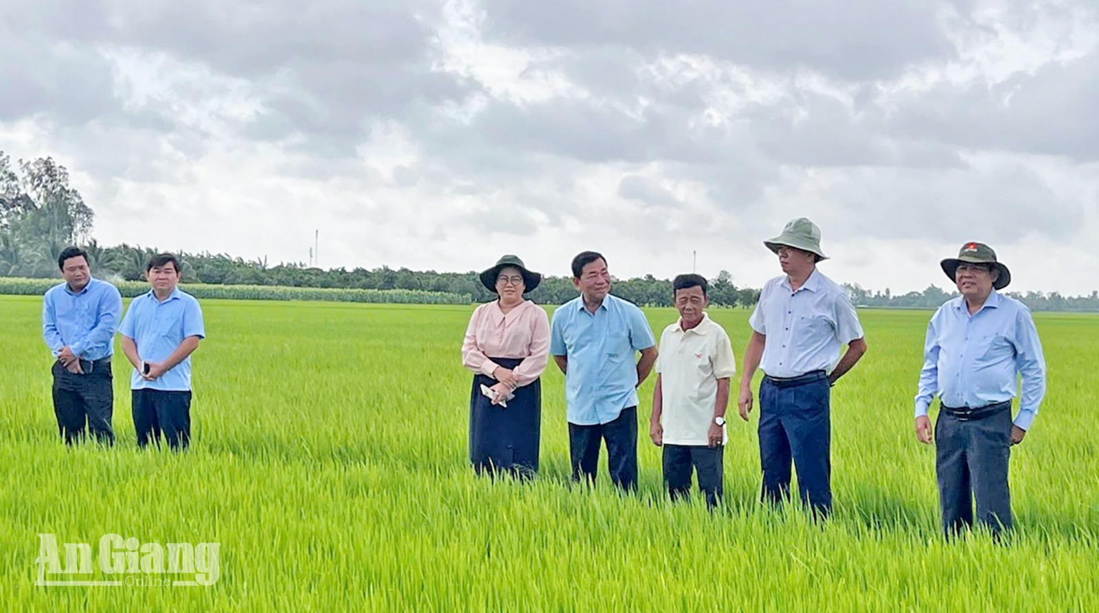 Phó Chủ tịch UBND tỉnh Ngô Công Thức khảo sát mô hình một triệu ha lúa chất lượng cao xã Tân An