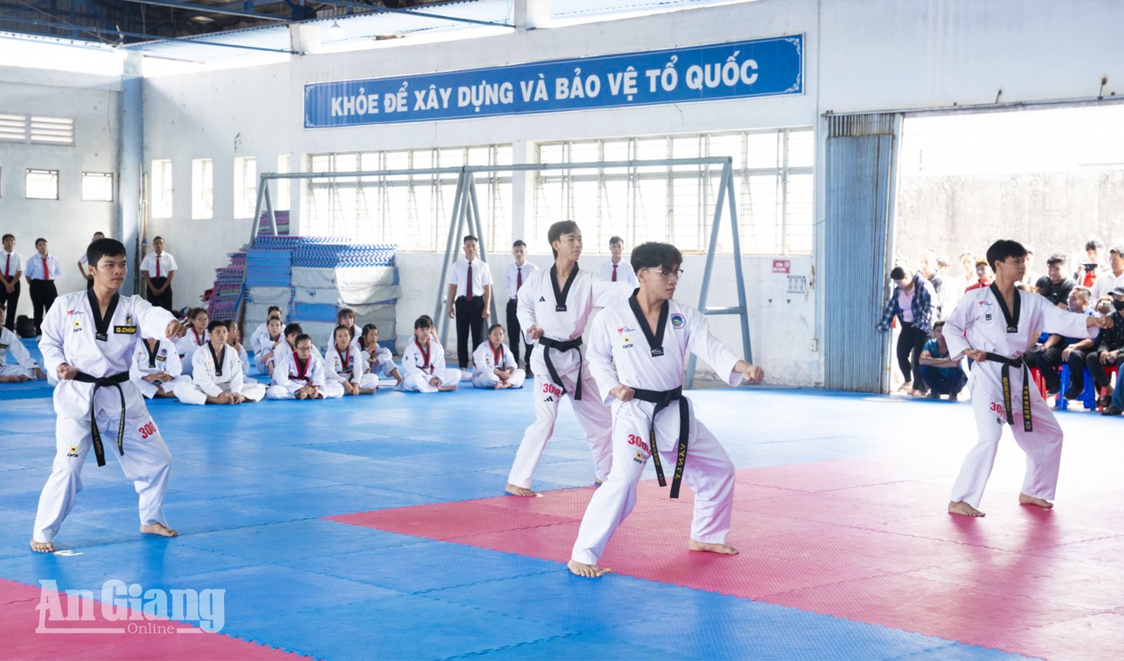 366 võ sinh thi thăng đẳng môn Taekwondo