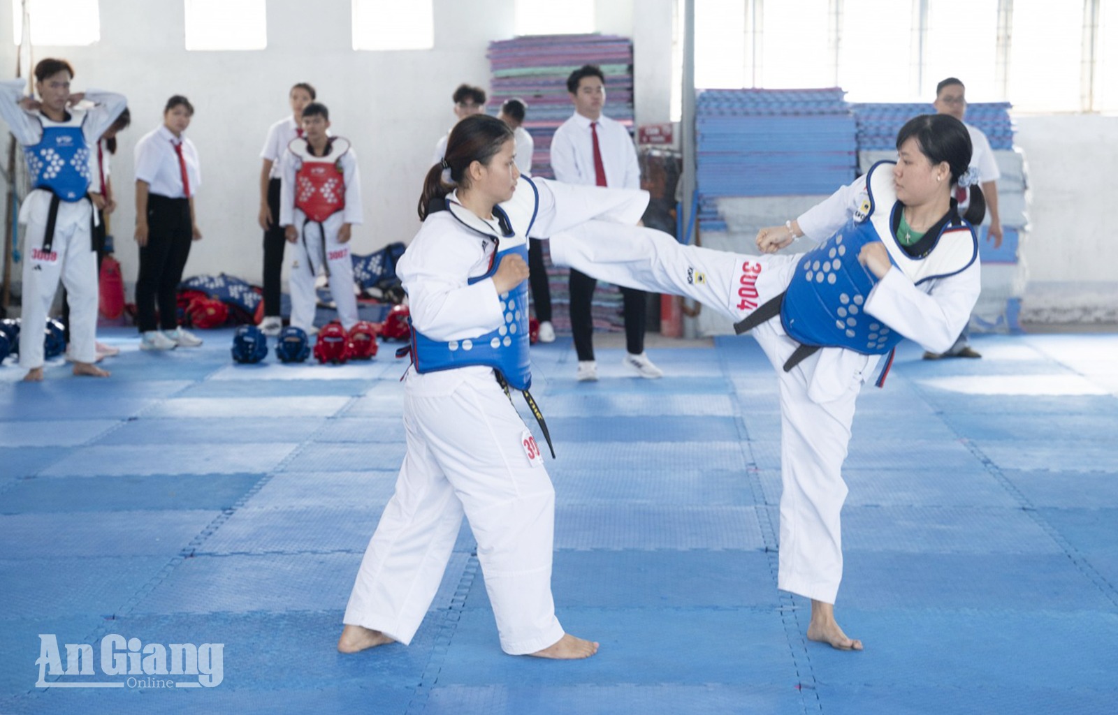 366 võ sinh thi thăng đẳng môn Taekwondo