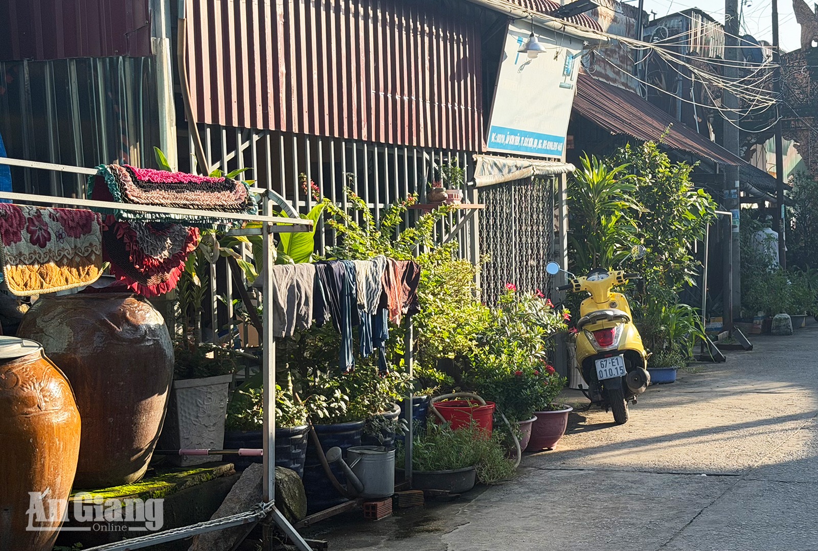 Khoảng xanh lấn lối đi chung