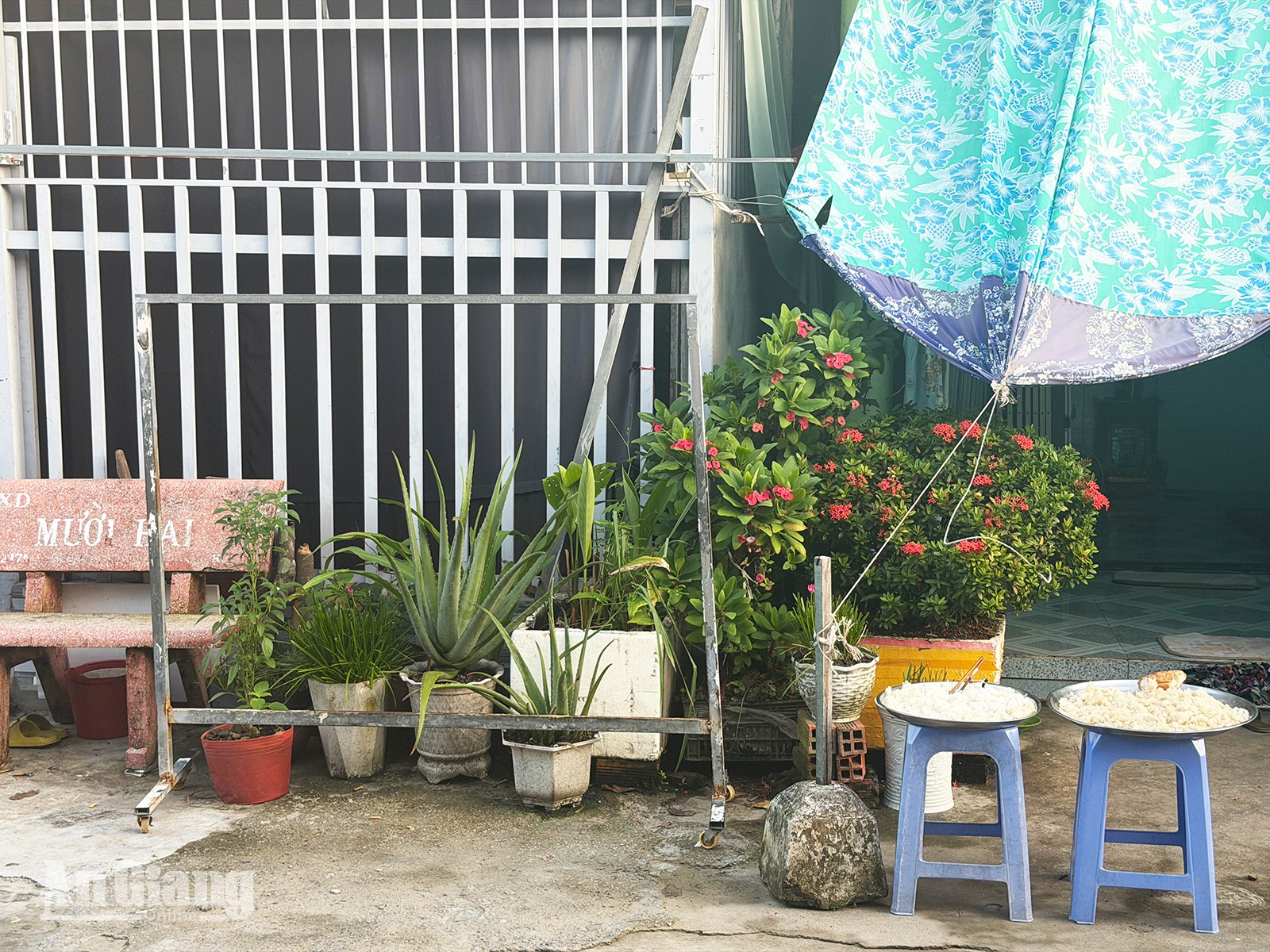 Khoảng xanh lấn lối đi chung
