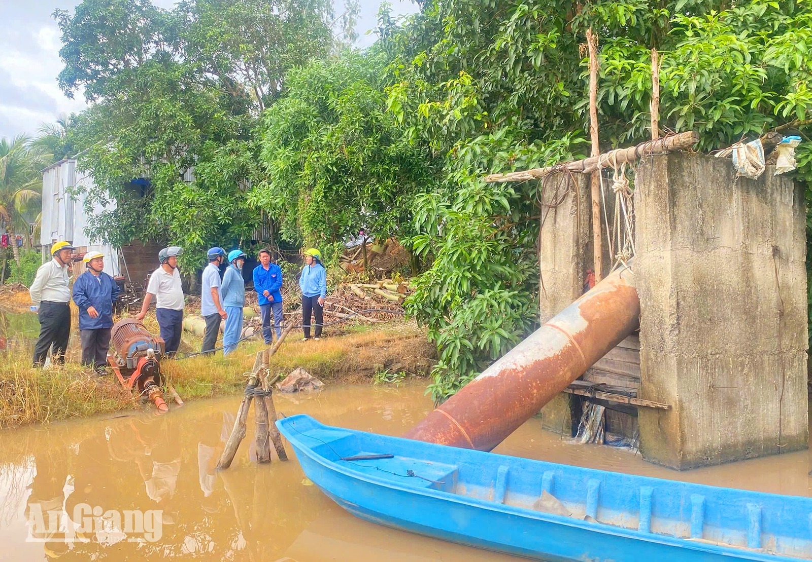 An Giang bảo vệ sản xuất trong mùa mưa lũ