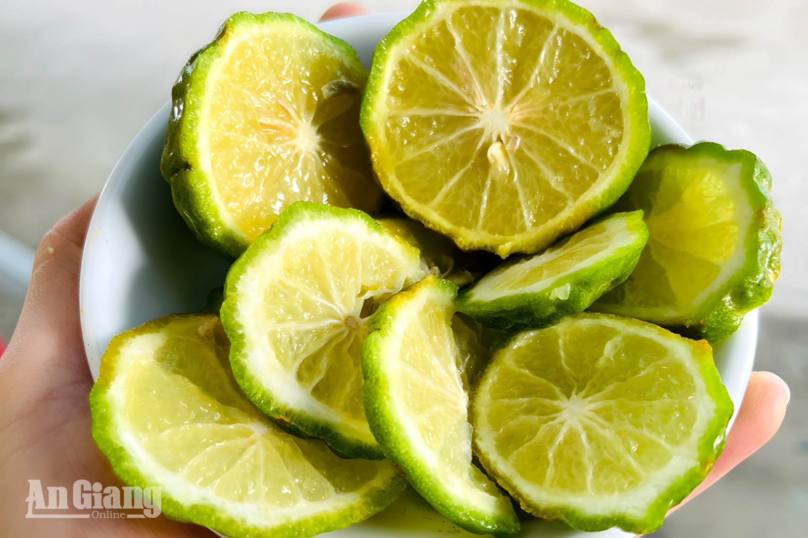 Hương vị trái chúc Bảy Núi