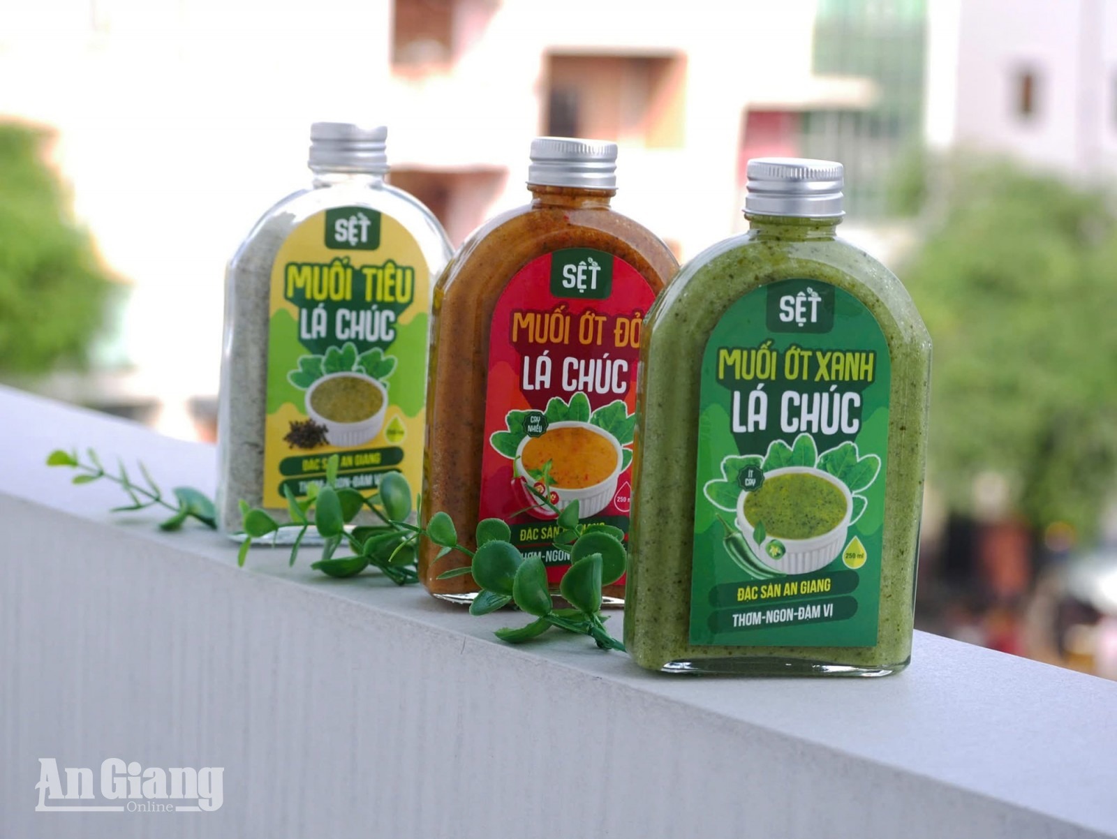 Hương vị trái chúc Bảy Núi