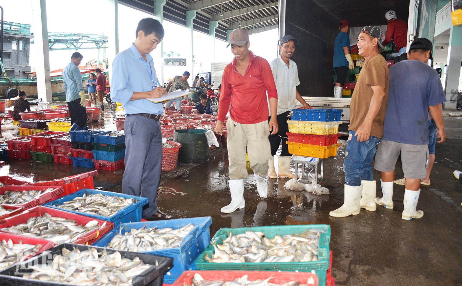An Giang thực hiện cao điểm chống khai thác IUU