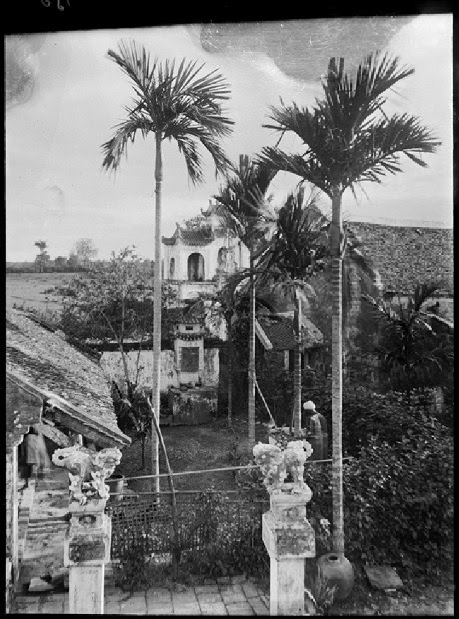 Khung cảnh nhìn từ trên cầu thang của chùa Một Cột, năm 1896.