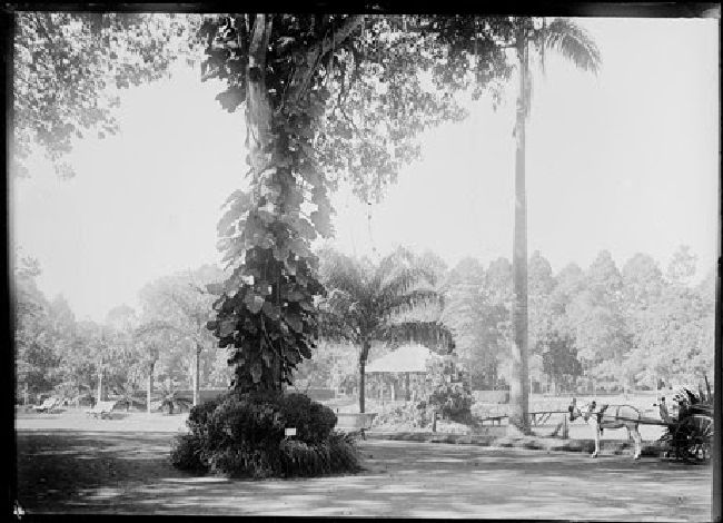 Thảo Cầm Viên Sài Gòn, 1895.