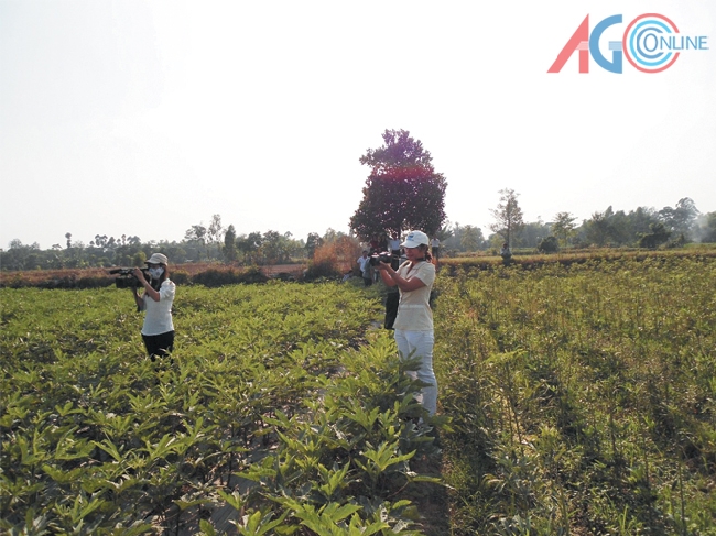 Phóng viên Báo An Giang và Đài Phát thanh-Truyền hình An Giang tác nghiệp ở cơ sở.