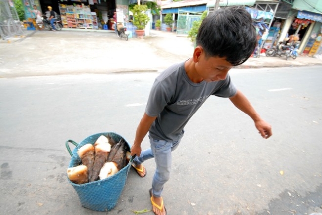 Vùng trồng măng mạnh tông nhiều nhất An Giang là 2 huyện miền núi Tịnh Biên và Tri Tôn.