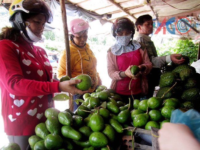 Khách hành hương tham quan núi Két và thưởng thức trái cây đặc sản vùng Thất Sơn.