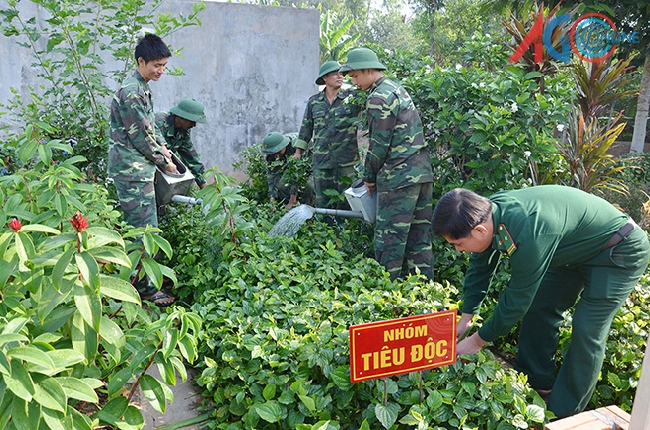 Bộ đội, chiến sĩ chăm sóc vườn thuốc nam để chữa bệnh đồng đội và Nhân dân