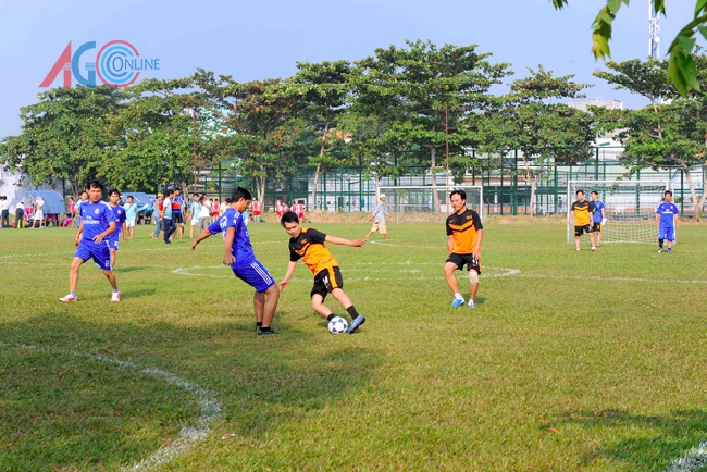 Nhiều nơi trong tỉnh tổ chức hoạt động thể thao, trò chơi dân gian nhân kỷ niệm 85 năm ngày thành lập Đảng.