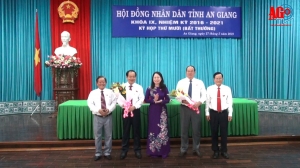 HĐND tỉnh khóa IX bầu ông Nguyễn Thanh Bình chức Chủ tịch UBND tỉnh, nhiệm kỳ 2016-2021