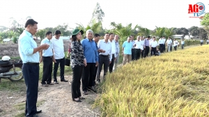 Bí thư Tỉnh ủy Võ Thị Ánh Xuân làm việc về tình hình sản xuất và tiêu thụ nông, thủy sản ở huyện Phú Tân