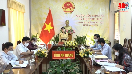 Đoàn đại biểu Quốc hội An Giang thảo luận về kinh tế - xã hội và phòng, chống dịch COVID-19