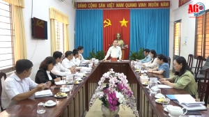 Đoàn Đại biểu Quốc hội tỉnh An Giang làm việc với Công ty Điện lực An Giang