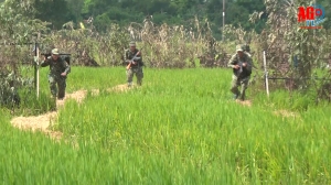 Bế mạc diễn tập khu vực phòng thủ huyện Châu Phú
