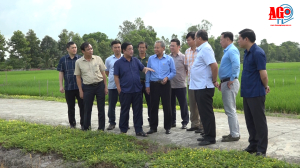 Bộ trưởng Bộ Nông nghiệp và Phát triển nông thôn Lê Minh Hoan thăm Tập đoàn Lộc Trời và Nam Việt