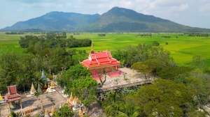 Độc đáo ngôi chùa có gần 100 cây còng cổ thụ