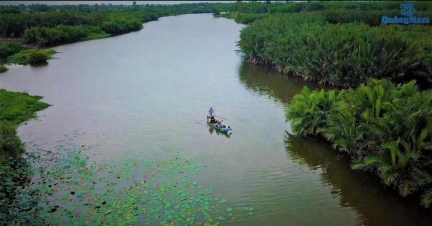 Hoang sơ rừng dừa nước Tịch Tây