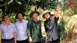 Bí thư Tỉnh ủy An Giang Lê Hồng Quang chỉ đạo công tác chữa cháy rừng ở Tri Tôn